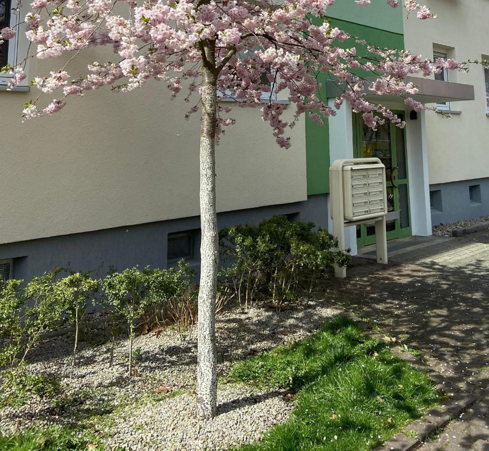 Schoene Kleine Wohnung Cottbus Exterior photo